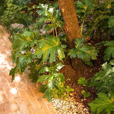 Urban Jungle Apartment Bologna Exterior photo