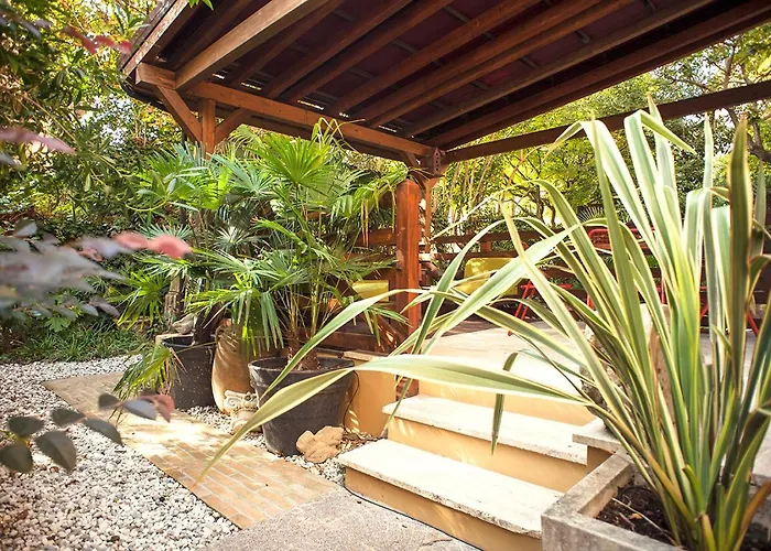 Urban Jungle